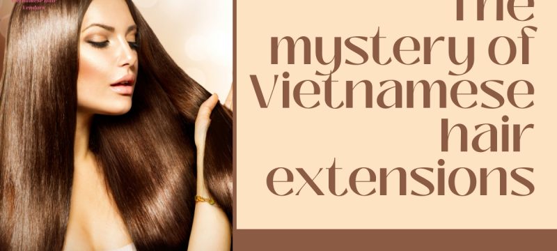 Vietnamese-hair-extensions