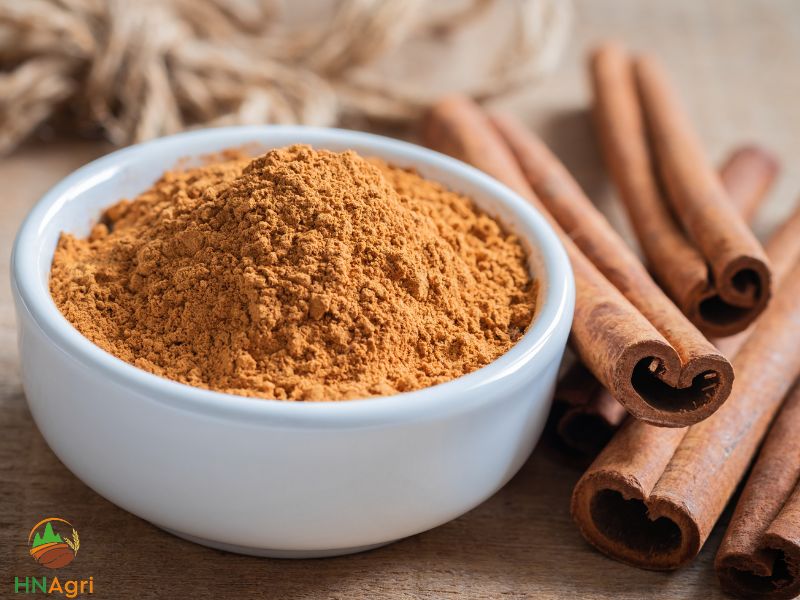 comprehensive-information-on-cinnamon-powder-suppliers-1