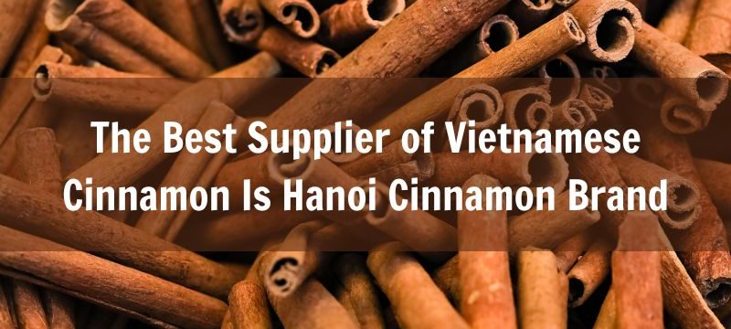 the-best-supplier-of-vietnamese-cinnamon-is-hanoi-cinnamon-company