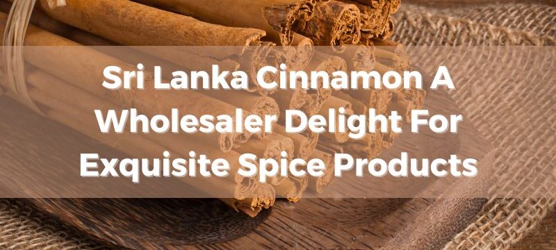 sri-lanka-cinnamon-a-wholesaler-delight-for-exquisite-spice-products
