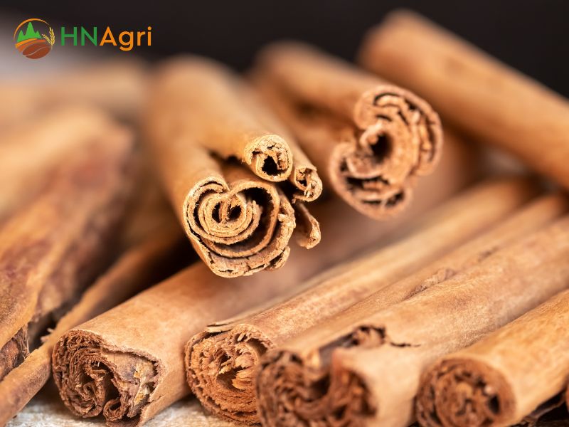 sri-lanka-cinnamon-a-wholesaler-delight-for-exquisite-spice-products-1
