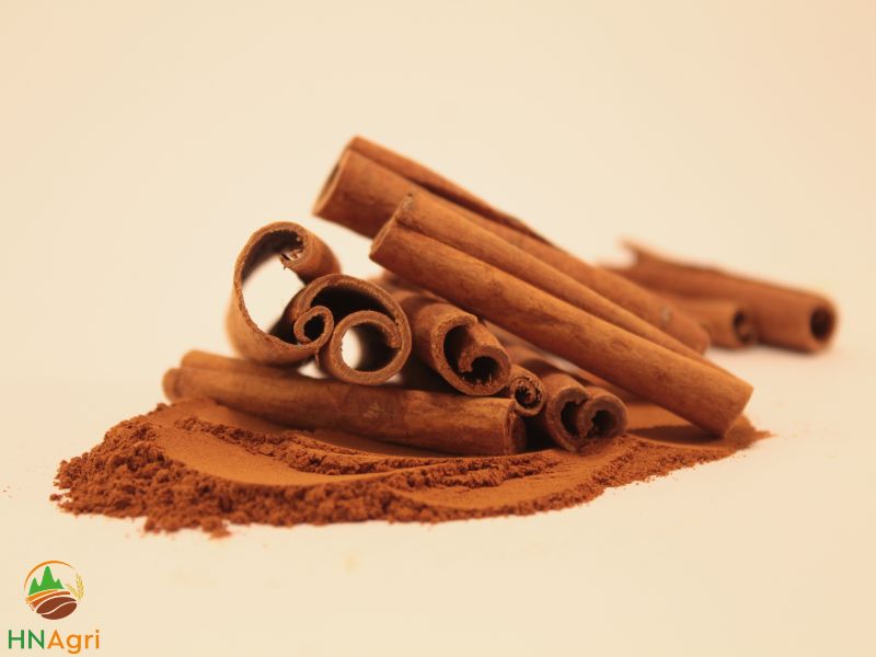 the-best-supplier-of-vietnamese-cinnamon-is-hanoi-cinnamon-company-2