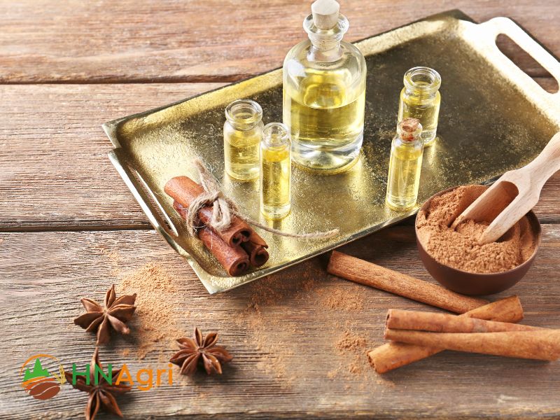cinnamon-oil-unveiled-aromatic-treasure-and-its-many-uses-2