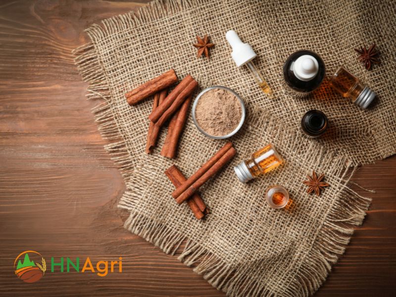 cinnamon-oil-unveiled-aromatic-treasure-and-its-many-uses-3