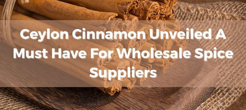 ceylon-cinnamon-unveiled-a-must-have-for-spice-suppliers-1